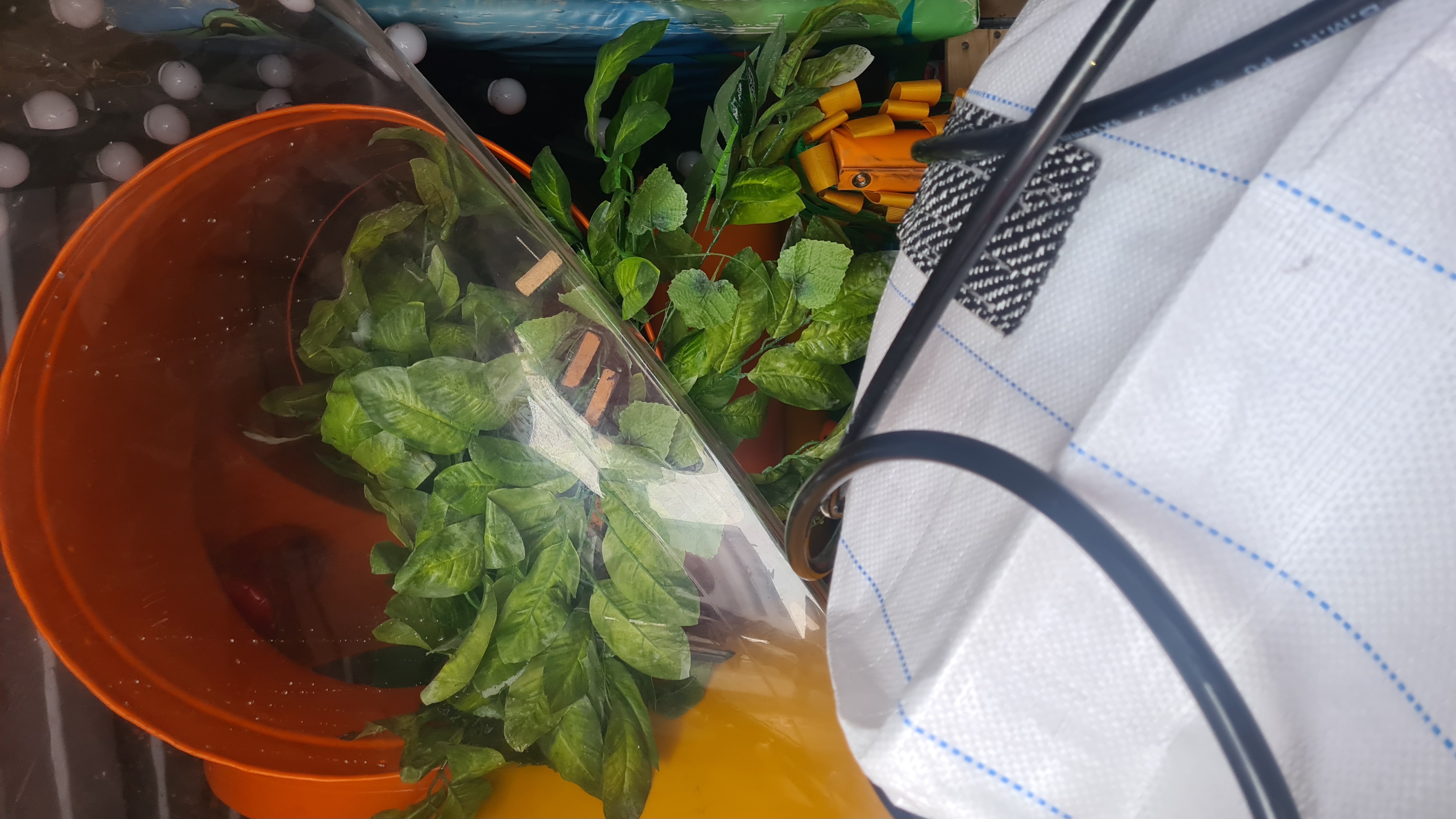 Ævintýraland (Smáralind)