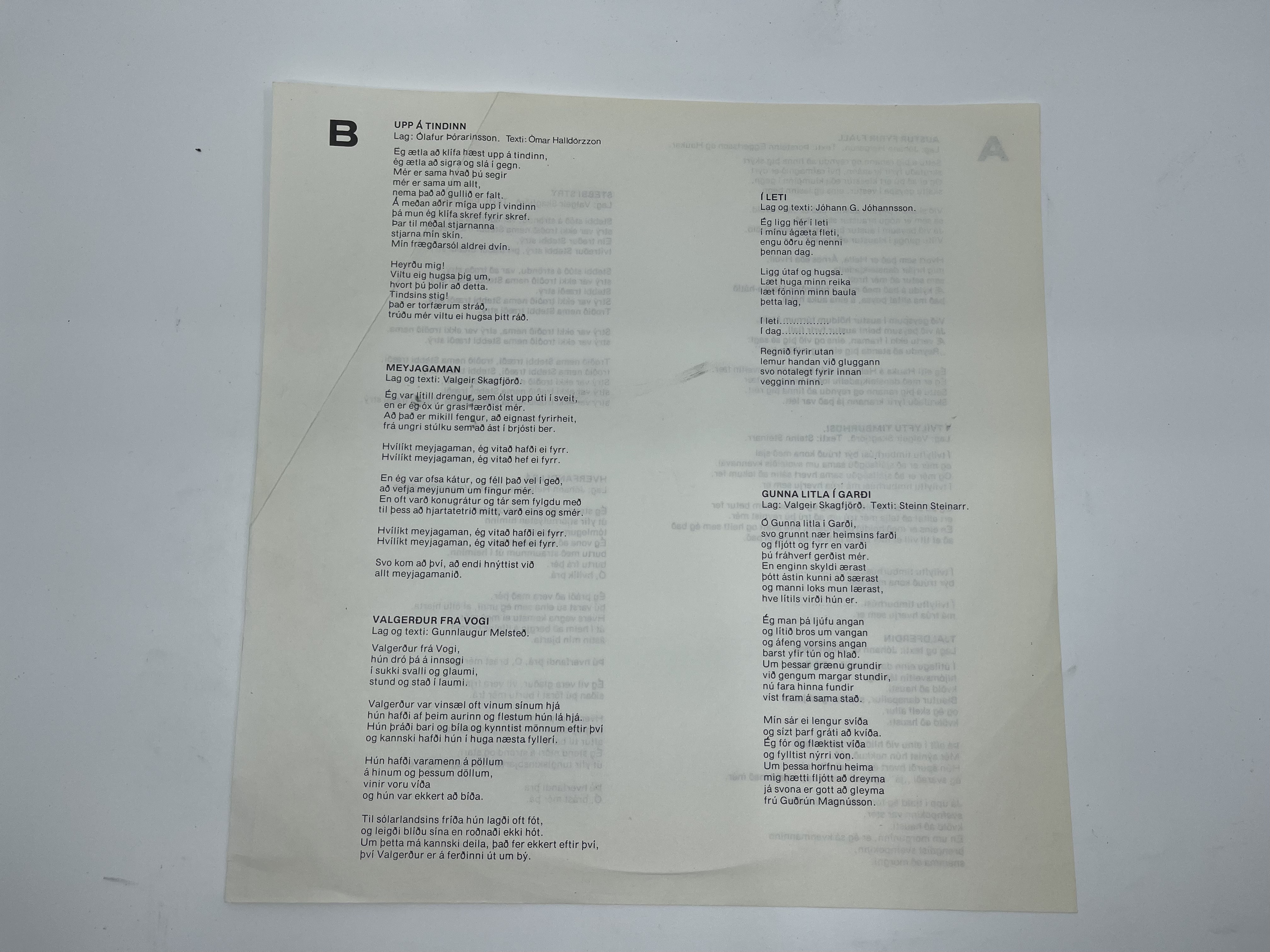 Haukar - ...svo á réttunni